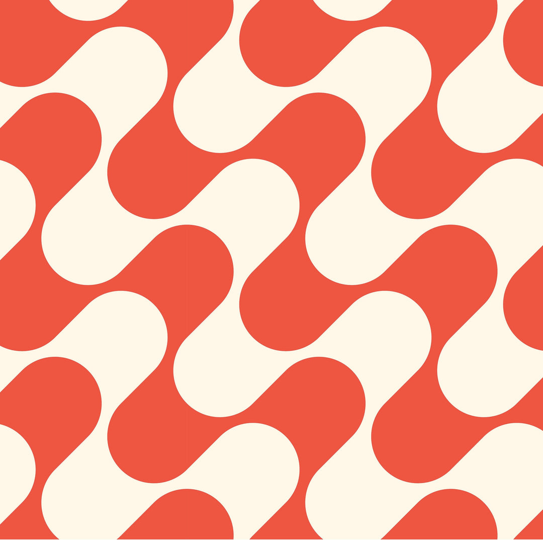 Double Glasses Case – Red Ripple Bag Project Ten