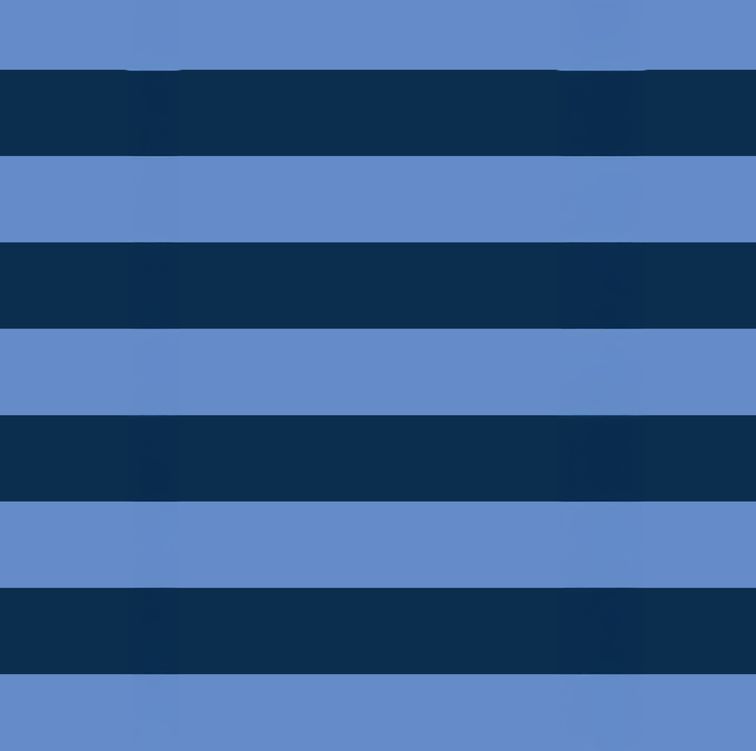 Takeaway Bag – Blue Stripe Project Ten Pty Ltd