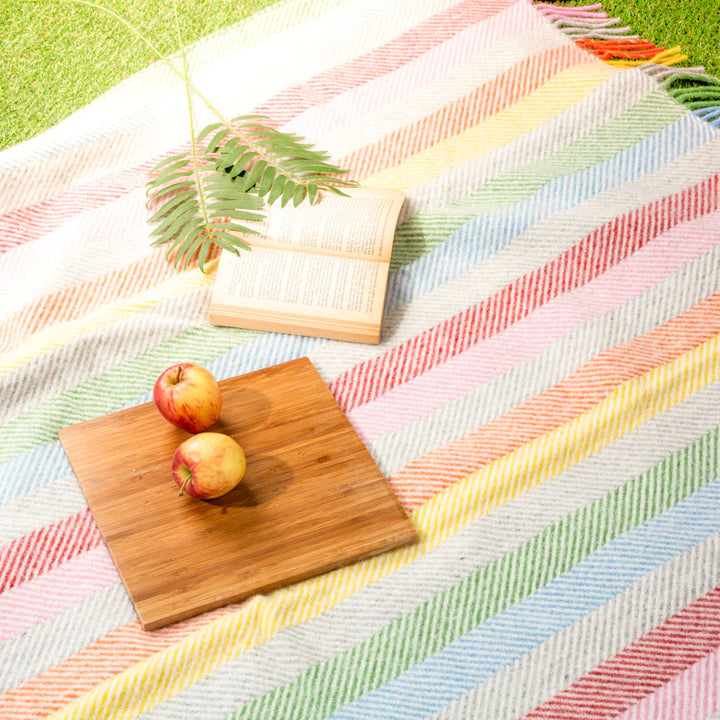Pure New Wool picnic Blanket - Rainbow Blankets Heating and Plumbing London   