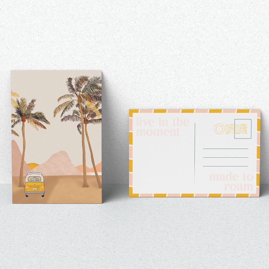 Sun Seeker Smelly Balls With Coconut + Lime Fragrance