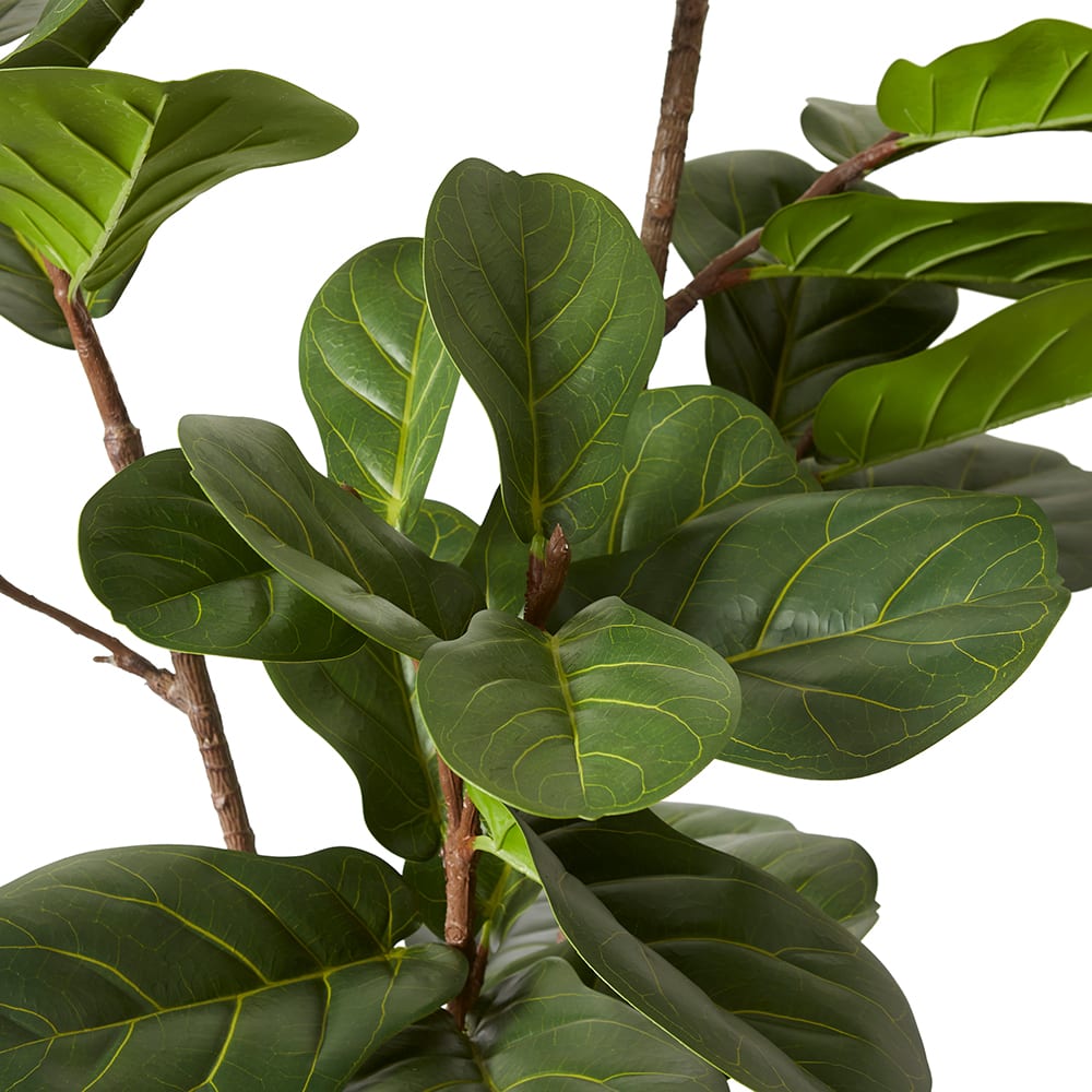 Fiddle Lush Tree Green - 70 x 70 x 185cm artificial plant Elme Living