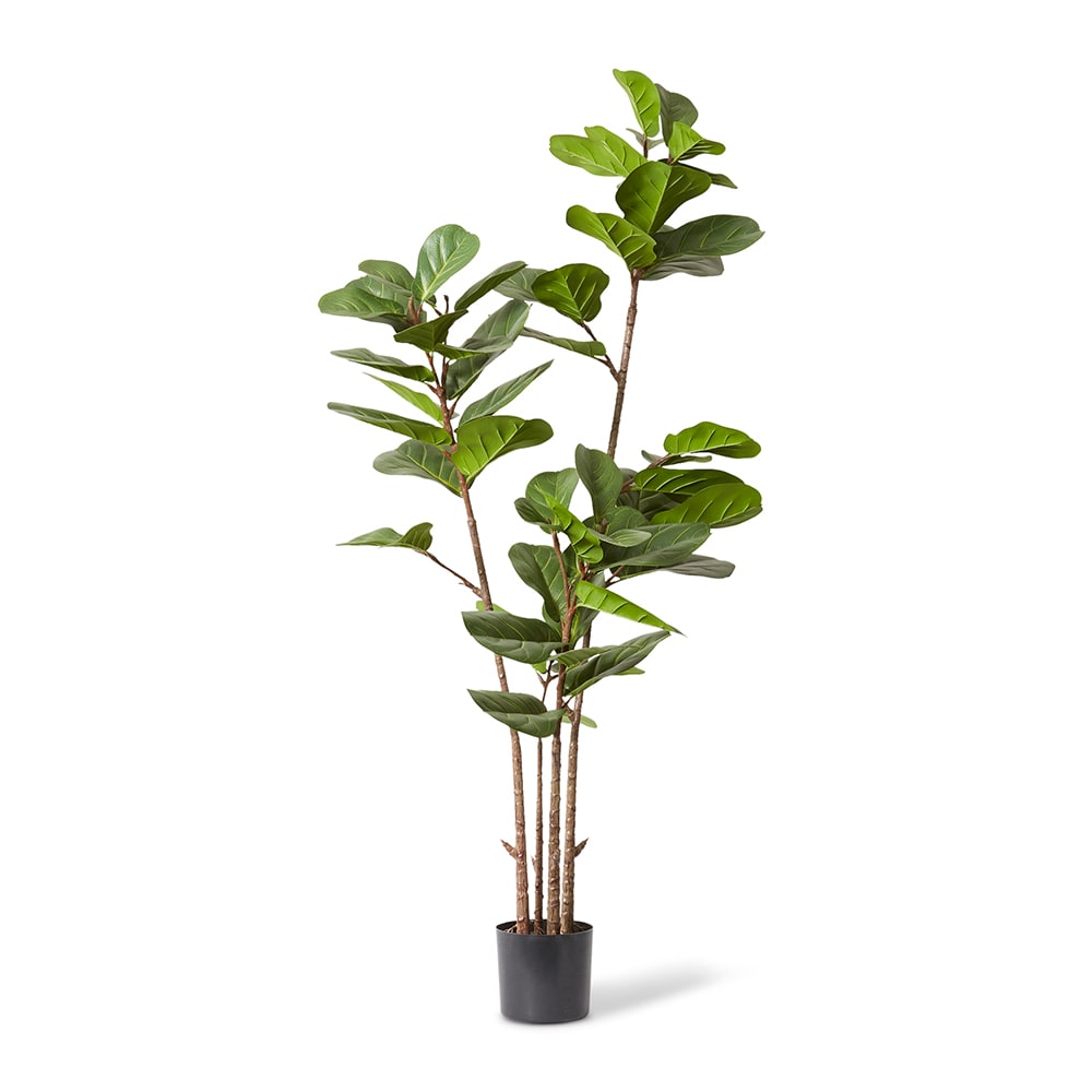 Fiddle Lush Tree Green - 70 x 70 x 185cm artificial plant Elme Living