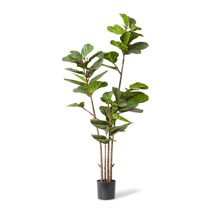 Fiddle Lush Tree Green - 70 x 70 x 185cm artificial plant Elme Living