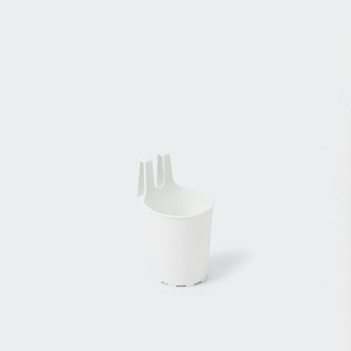 White Cup Holder Kove and Co