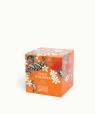 Fleur d'Oranger (Orange Blossom) Candle in Porcelaine pot 200g Fragonard Candle Fragonard