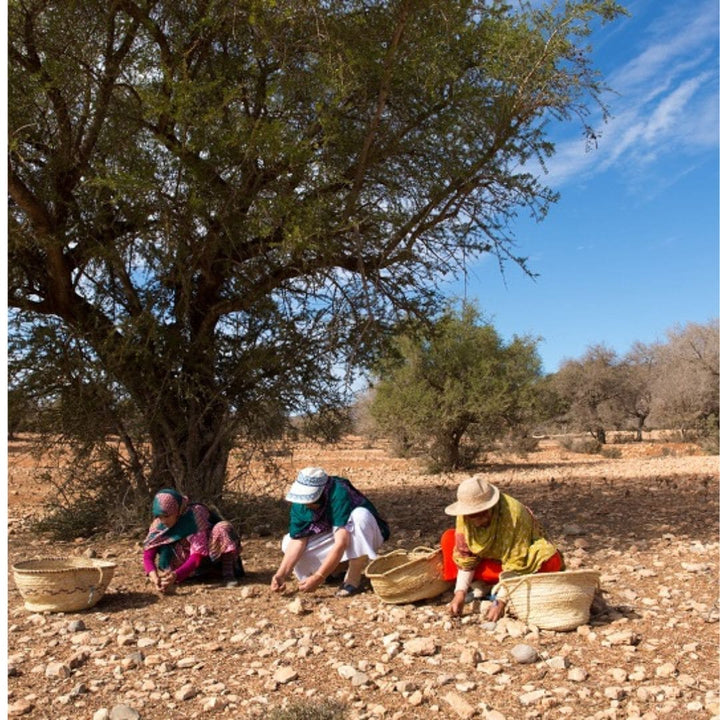 WOO Argan Oil – Hydrating, Anti-Aging, and Softening for Skin, Hair, and Nails WOO Oils