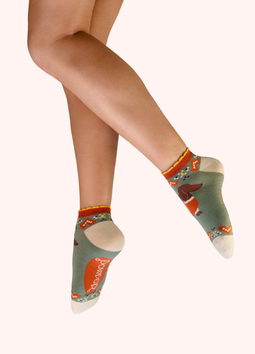 *AW26* Snuggly Sausage Dogs Trainer Socks Socks Powder