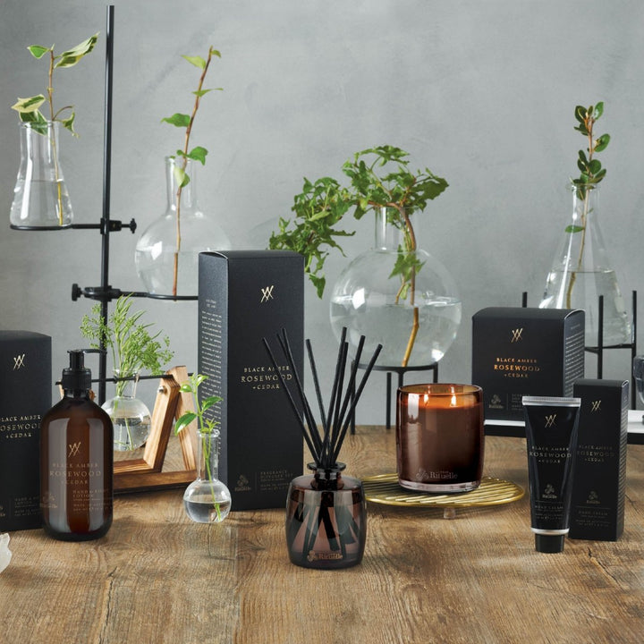 Black Amber, Rosewood &amp; Cedar Mini Fragrance Diffuser Set | 90ml - Stanleyandstone