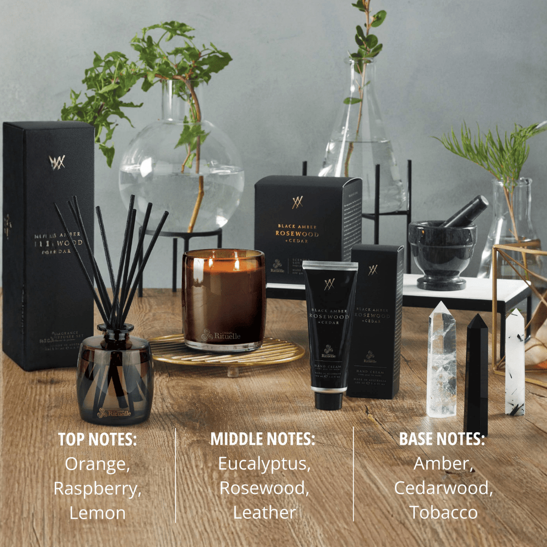Black Amber, Rosewood &amp; Cedar<br> Fragrance Diffuser Set | 220ml - Stanleyandstone