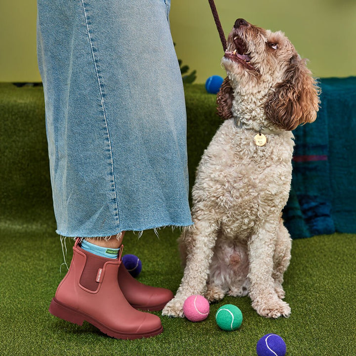 Bobbi Ankle Boot // Clay Merry People