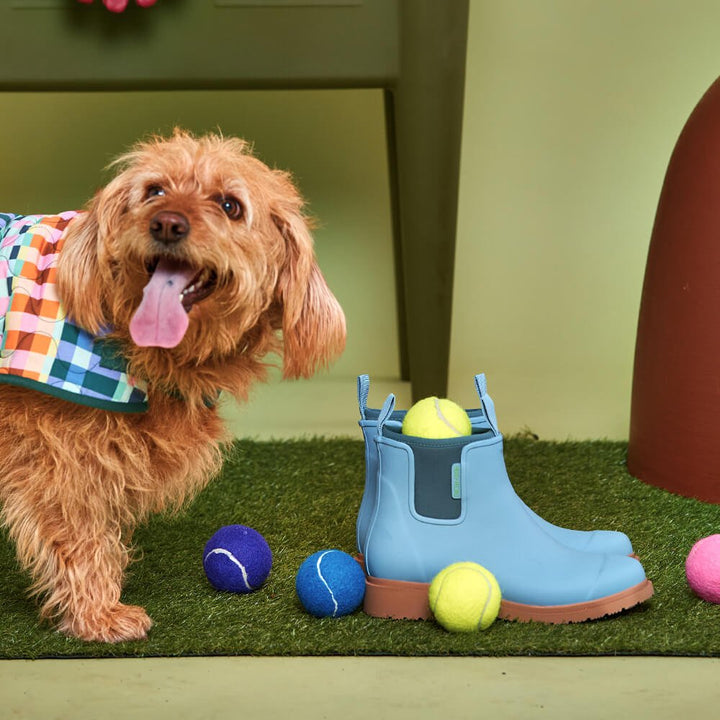 Bobbi Ankle Boot // Seafoam Merry People