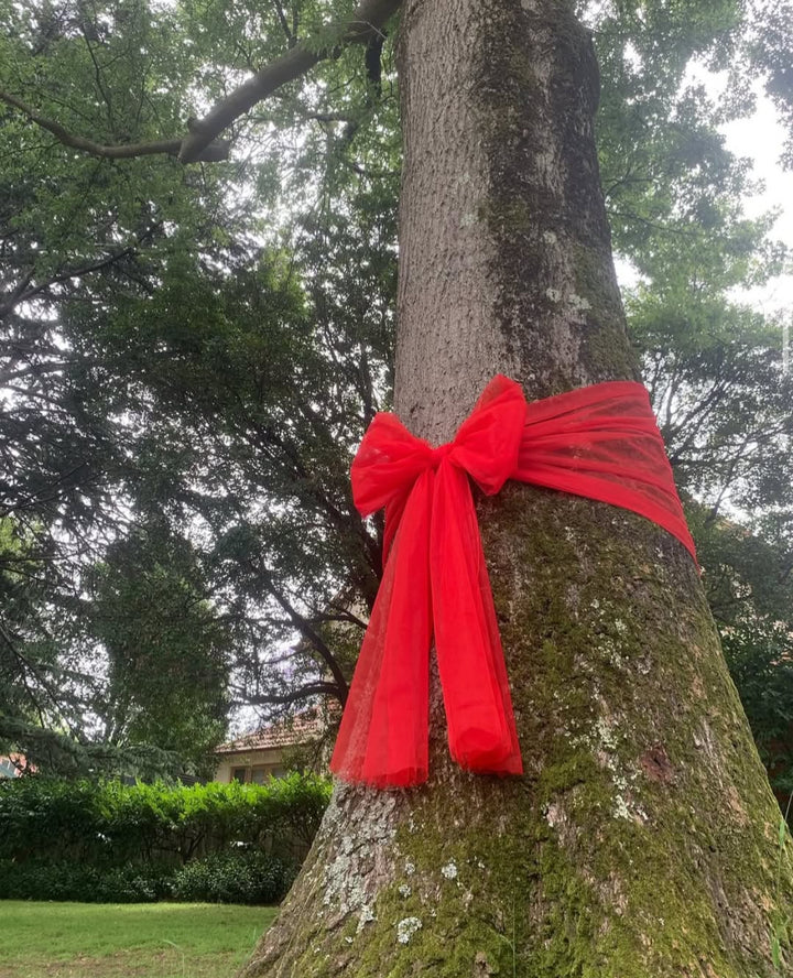 Big red bow - charity Stanleyandstone