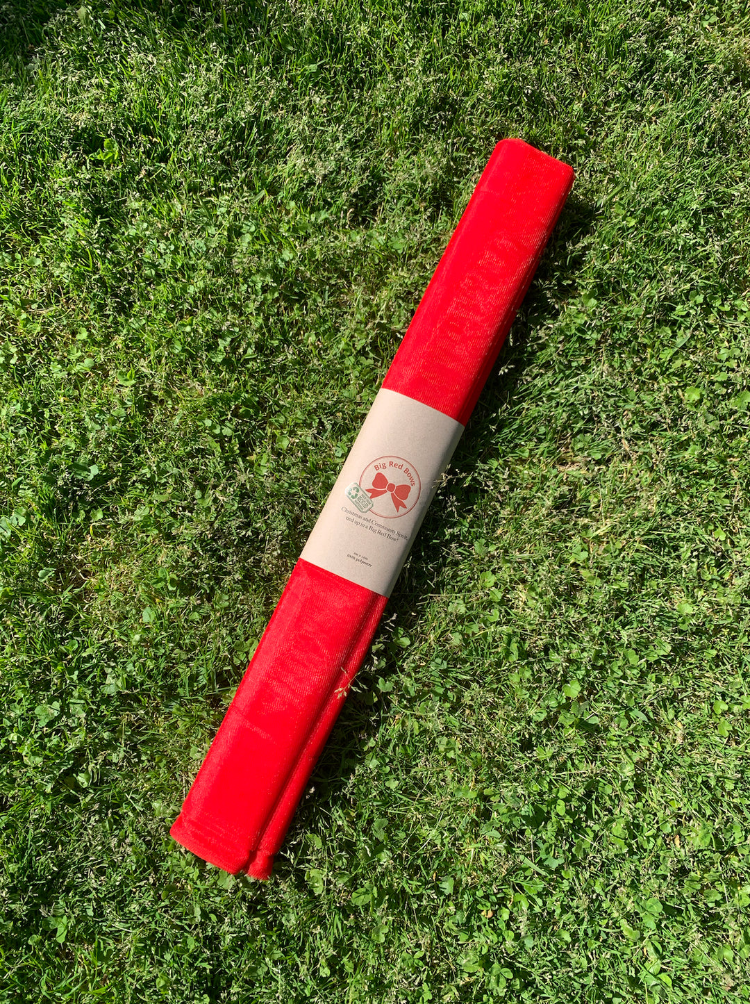 Big red bow - charity Stanleyandstone