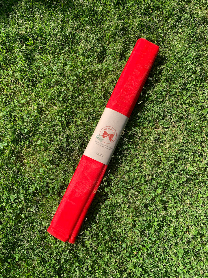 Big red bow - charity Stanleyandstone