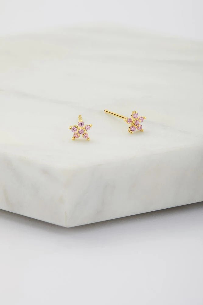 Cara Stud Earing Pink -925 Sterling Silver earing Zafino Jewellery