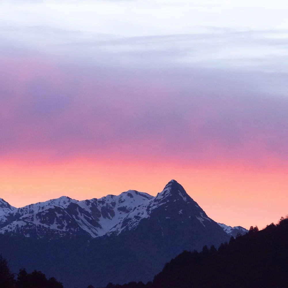 WOO Rosehip Oil – Hydrating, Anti-Aging, & Scar Reducing WOO Oils