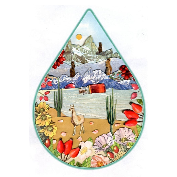 WOO Rosehip Oil – Hydrating, Anti-Aging, & Scar Reducing WOO Oils