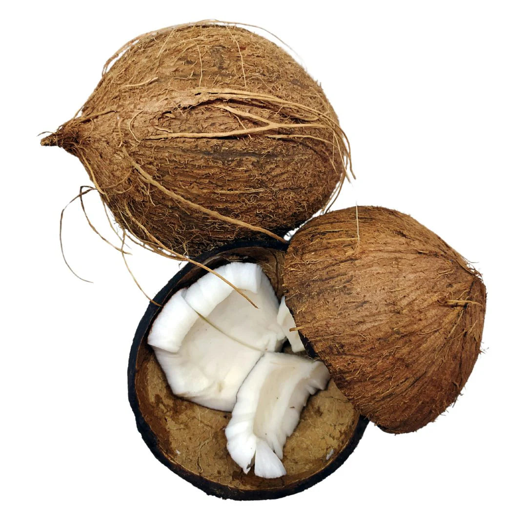 WOO Coconut Oil – Pure Coconut Luxury for Soft, Hydrated Skin & Hair WOO Oils