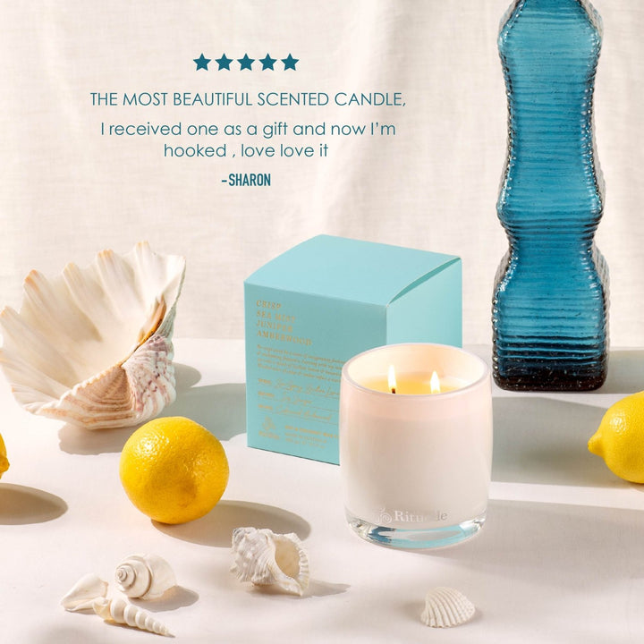 Crisp Sea Mist, Juniper, Amberwood<br>Scented Soy Candle | 400gm - Stanleyandstone
