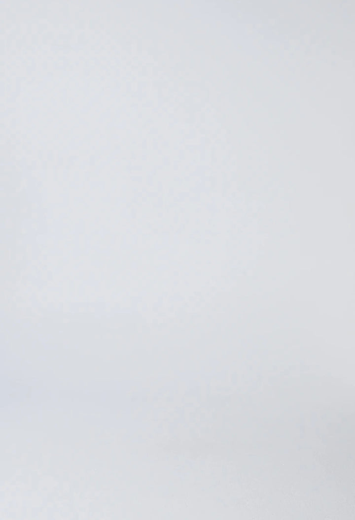 Aseel Linen Viscose Embroidered Top in Ivory Blouse Once Was