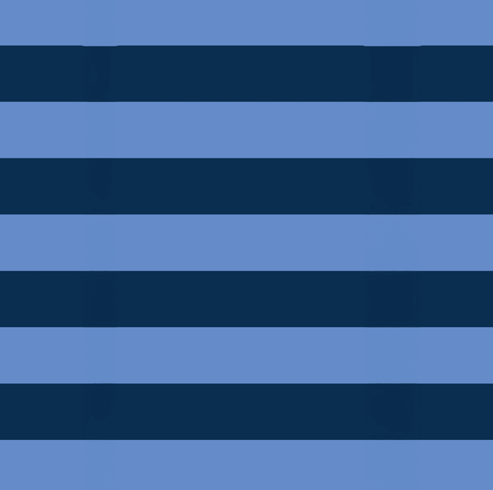 Double Glasses Case – Blue Stripe Project Ten Pty Ltd