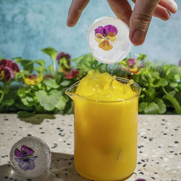 Drinks Plinks - Shapes - Stanleyandstone