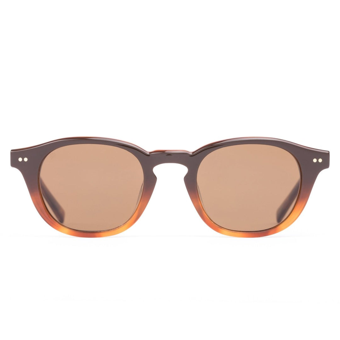ELIO - TAN GRADIENT POLARISED sito shades