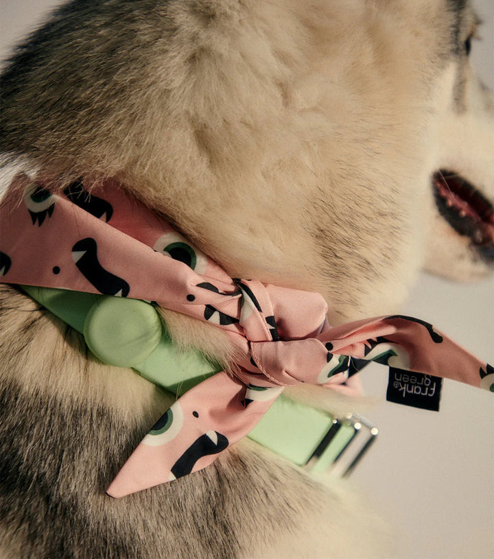 Frank Green SMALL Pet Bandana - Blushed pink Print Pet Frank Green