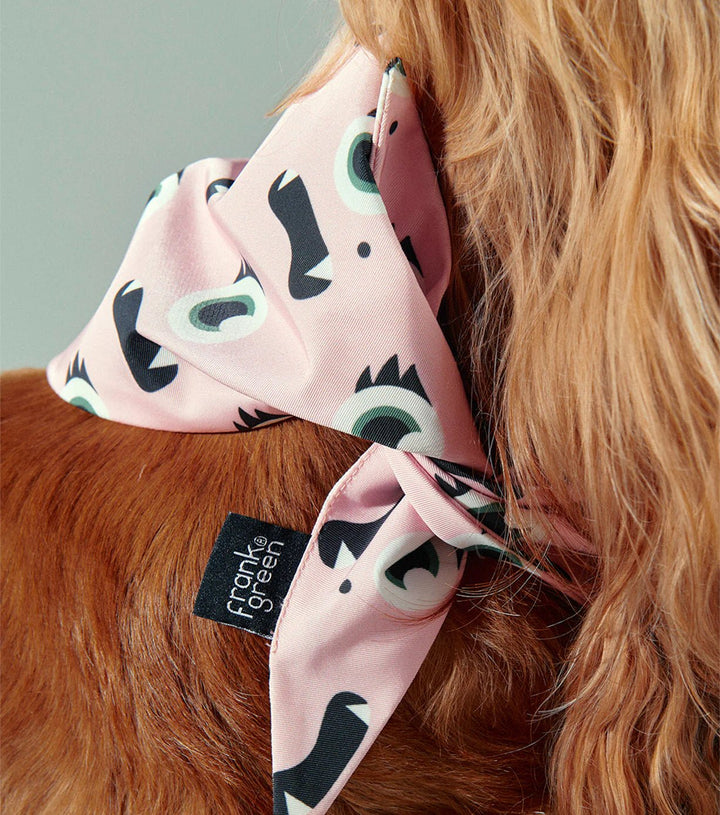Frank Green SMALL Pet Bandana - Blushed pink Print Pet Frank Green
