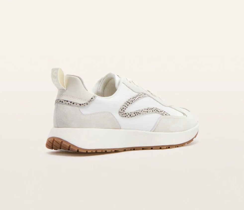 Frankie4 Axel Sneaker - Stone Shoes FRANKIE4
