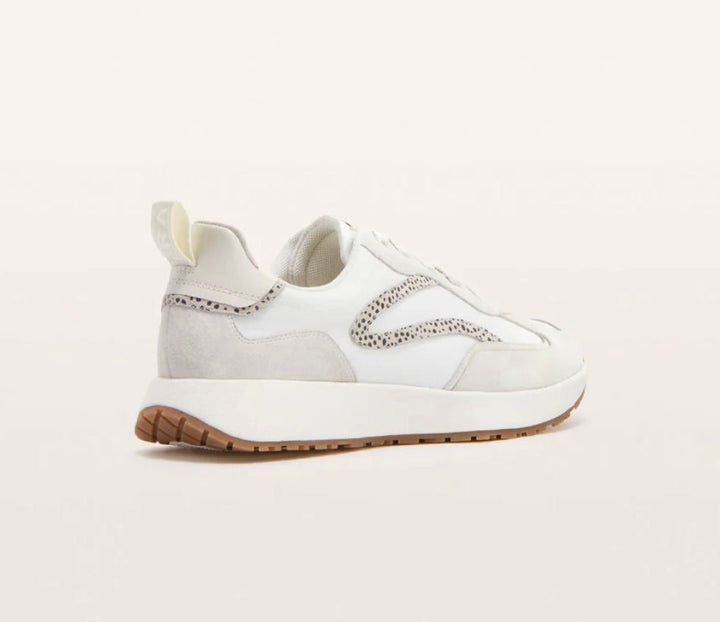 Frankie4 Axel Sneaker - Stone Shoes FRANKIE4