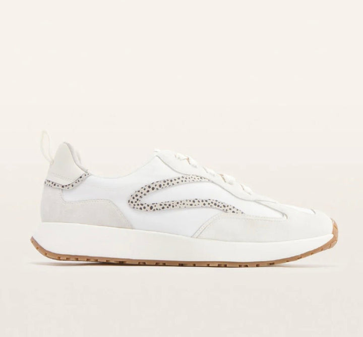 Frankie4 Axel Sneaker - Stone Shoes FRANKIE4