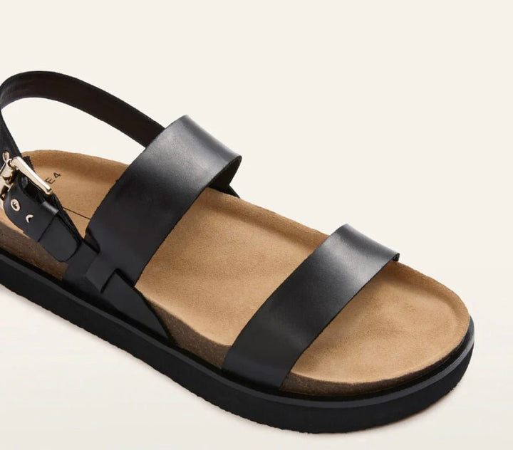 Frankie4 Hunter - Black Sandal Shoes FRANKIE4