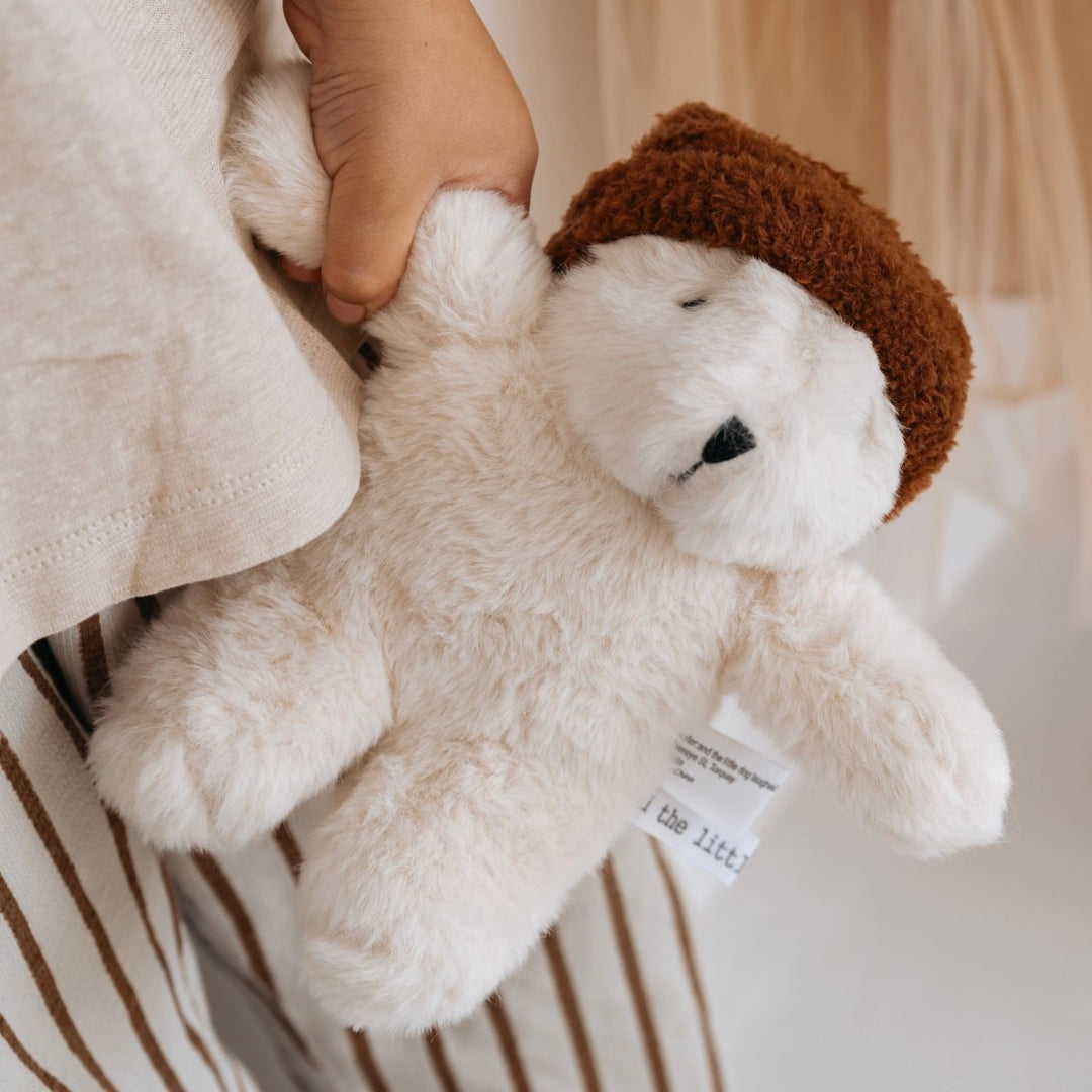 freddie bear | soft toy - Stanleyandstone