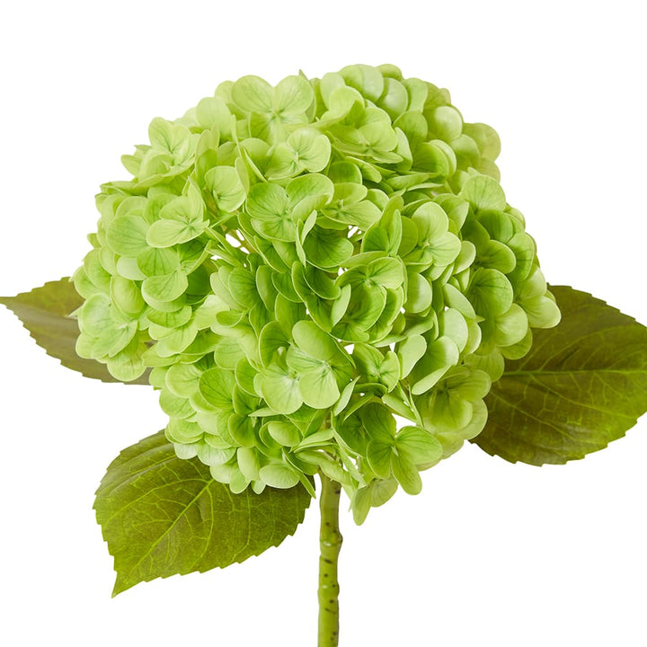 Hydrangea Classic Stem (RT) Dark Green - 30 x 20 x 52cm artificial plant Elme Living