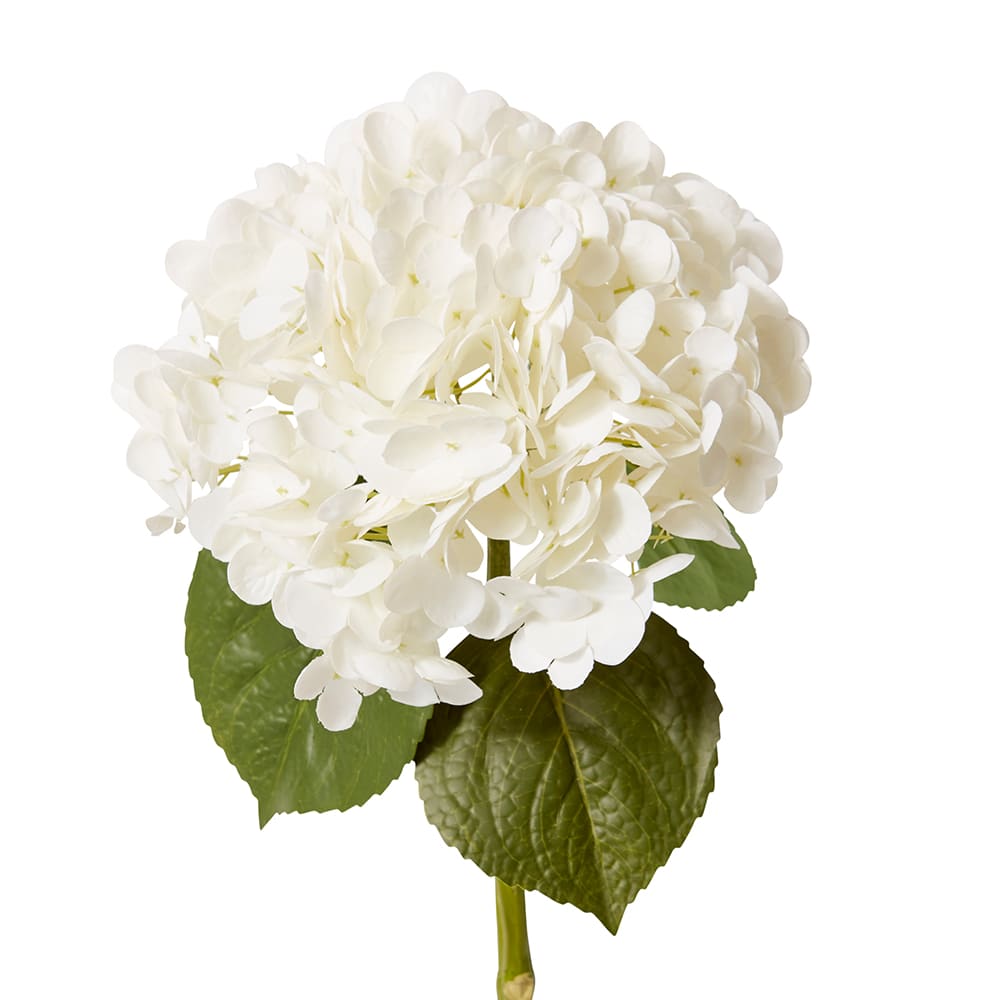 Hydrangea Classic Stem (RT) White - 30 x 20 x 52cm artificial plant Elme Living