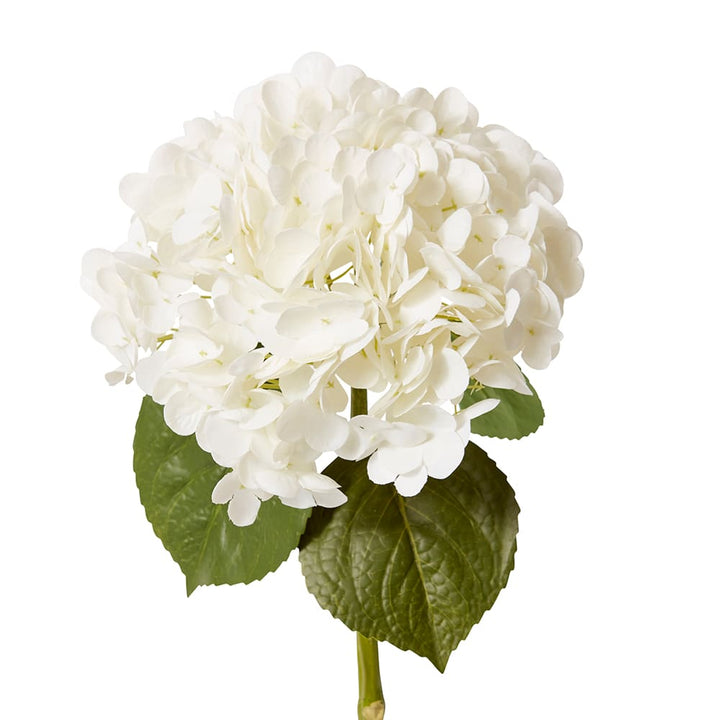 Hydrangea Classic Stem (RT) White - 30 x 20 x 52cm artificial plant Elme Living