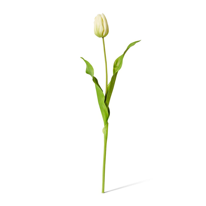 Tulip Dutch Stem Green - 13 x 10 x 57 cm artificial plant Elme Living