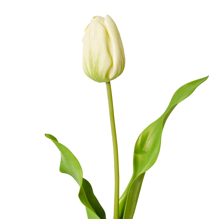 Tulip Dutch Stem Green - 13 x 10 x 57 cm artificial plant Elme Living
