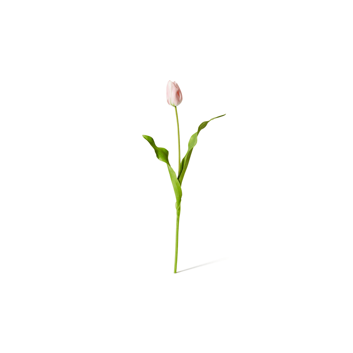 Tulip Dutch Stem Pink - 13 x 10 x 57 cm artificial plant Elme Living