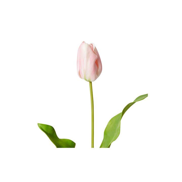 Tulip Dutch Stem Pink - 13 x 10 x 57 cm artificial plant Elme Living