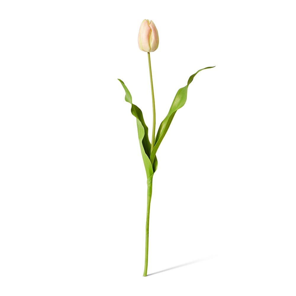 Tulip Dutch Stem Pink/Green - 13 x 10 x 57 cm artificial plant Elme Living
