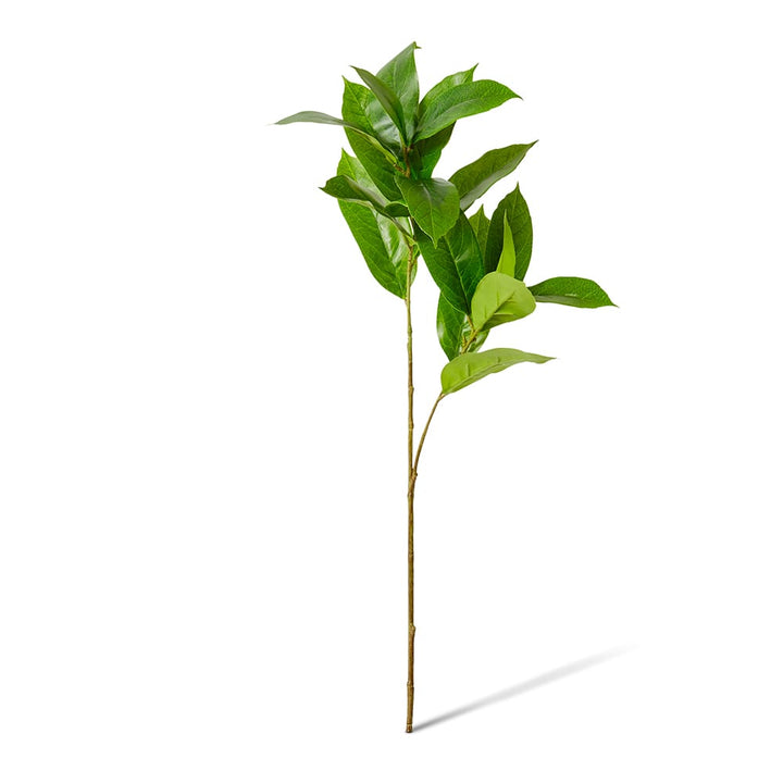 Island Leaf Spray Green - 38 x 24 x 77cm artificial plant Elme Living