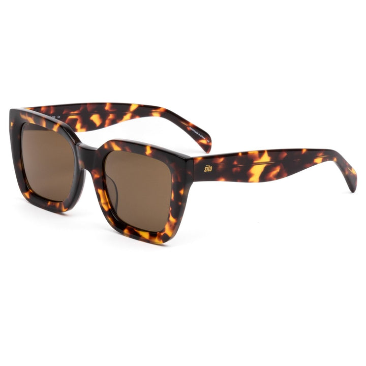 HARLOW - MAPLE TORT BROWN POLARISED sito shades