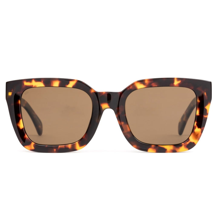 HARLOW - MAPLE TORT BROWN POLARISED sito shades