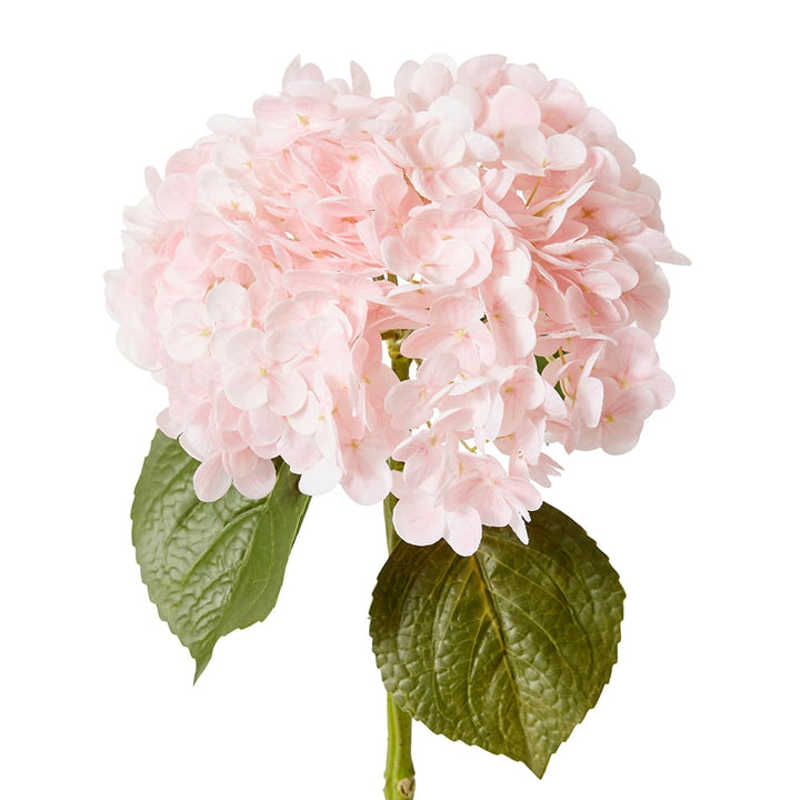 Hydrangea Classic Stem (RT) Pink - 30 x 20 x 52cm artificial plant Elme Living