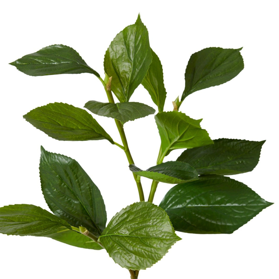 Hydrangea Leaf Spray Green - 30 x 30 x 81cm artificial plant Elme Living