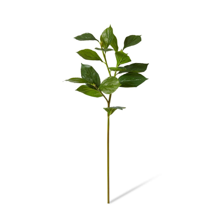 Hydrangea Leaf Spray Green - 30 x 30 x 81cm artificial plant Elme Living
