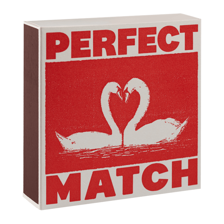 I Like You Swan | Square - Safety Matches Matches Archivist Gallery | Australia