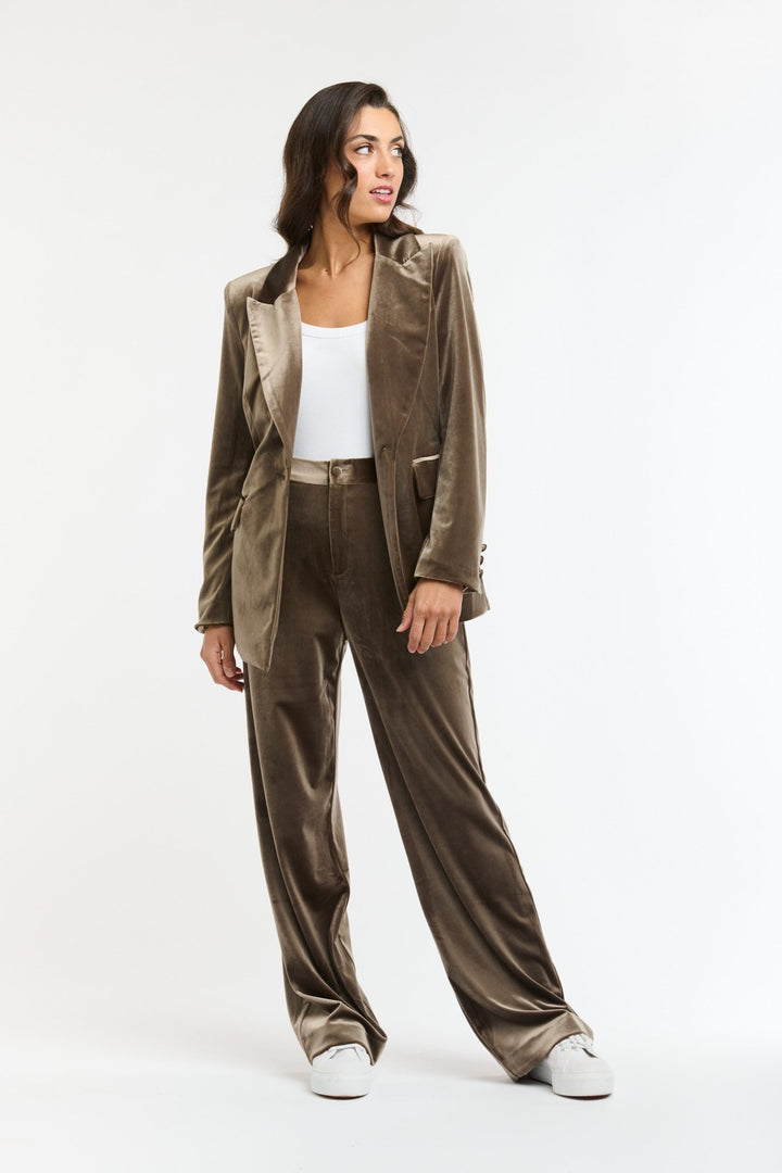 Italian Star Jets Velvet Pants - Khaki Pants Italian Star